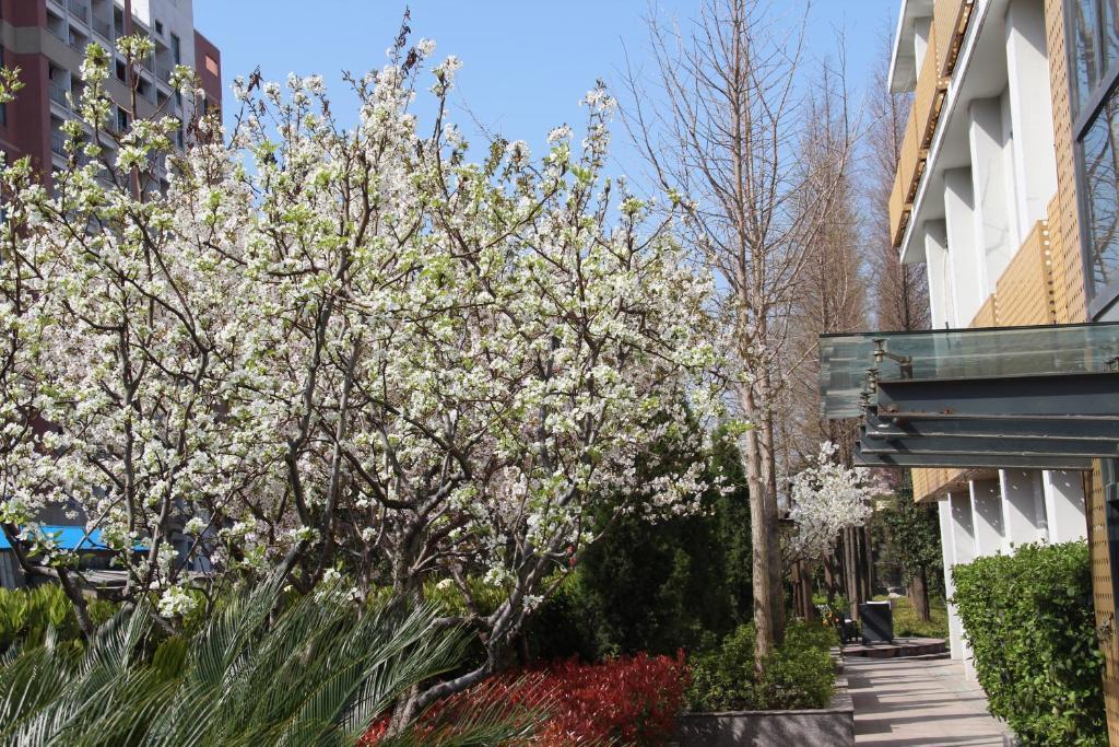 L'Otel Shanghai Exterior photo